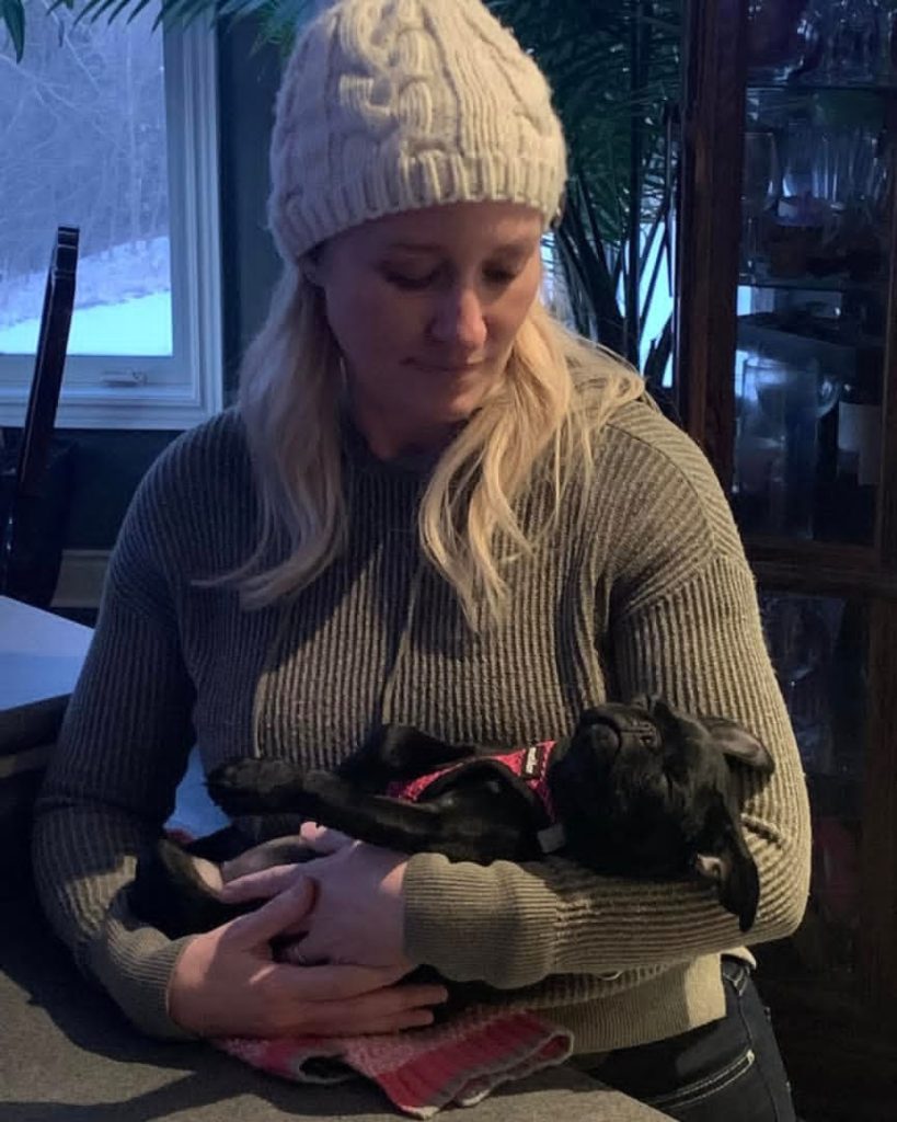 Our Families | Happy Pug Puppy Families