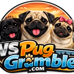 About VVSPugGrumble